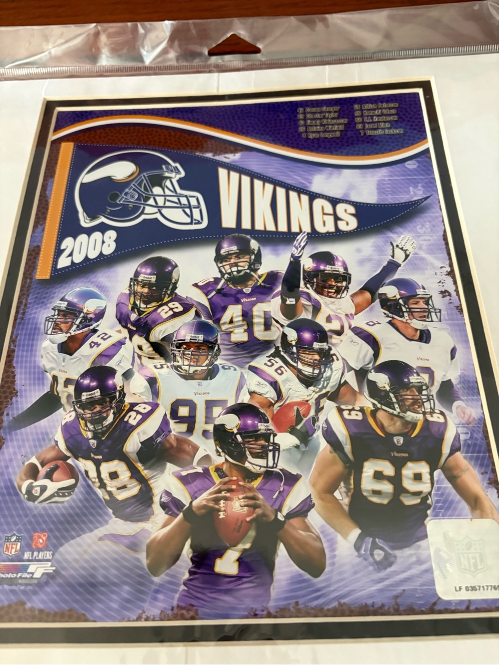 Minnesota Vikings Purple 2008 Team Poster - Official NFL Home Accent